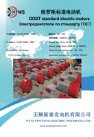 俄罗斯标准电动机.jpg