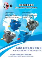 IEC standard electric motors.jpg